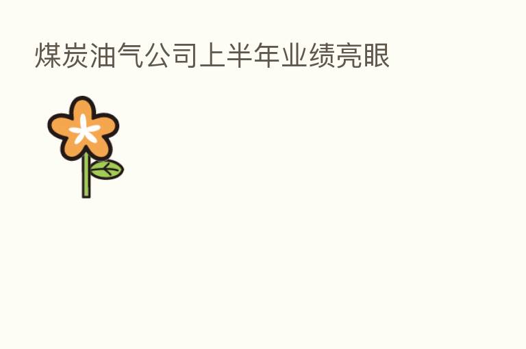 煤炭油气公司上半年业绩亮眼