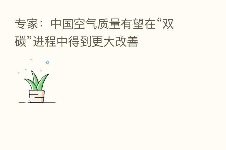 专家:中国空气质量有望在“双碳”进程中得到更大改善