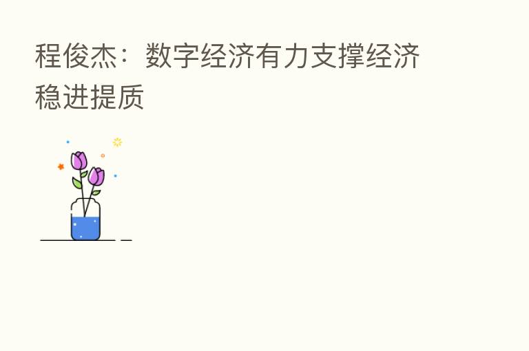程俊杰:数字经济有力支撑经济稳进提质