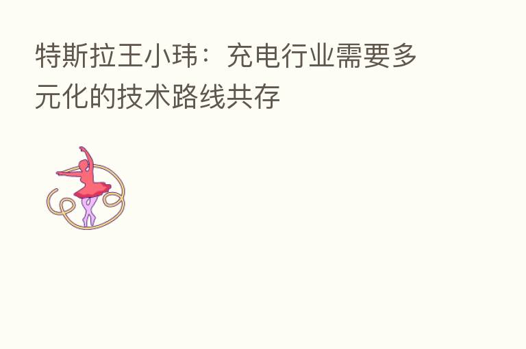 特斯拉王小玮：充电行业需要多元化的技术路线共存