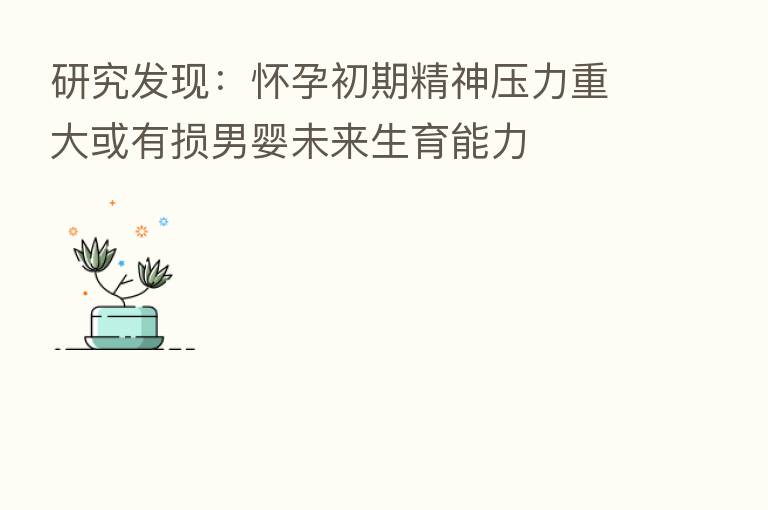 研究发现:怀孕初期精神压力重大或有损男婴未来生育能力