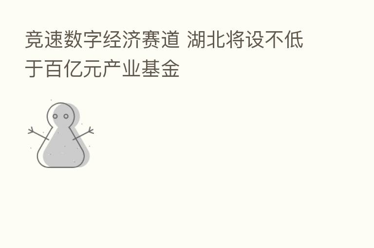 竞速数字经济赛道 湖北将设不低于百亿元产业基金