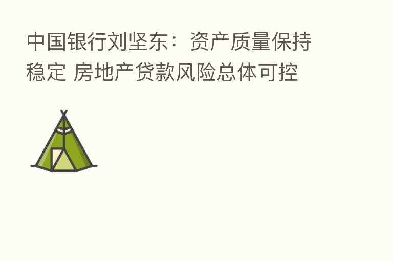 中国银行刘坚东:资产质量保持稳定 房地产贷款风险总体可控