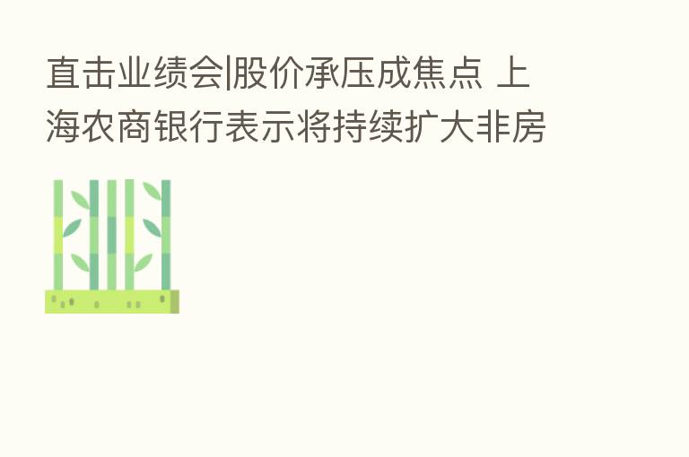 直击业绩会|股价承压成焦点 上海农商银行表示将持续扩大非房地产贷款业务规模