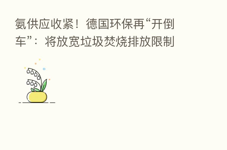 氨供应收紧!德国环保再“开倒车”:将放宽垃圾焚烧排放限制