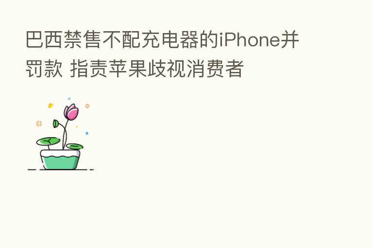 巴西禁售不配充电器的iPhone并罚款 指责苹果歧视消费者