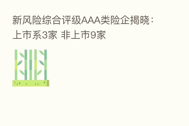 新风险综合评级AAA类险企揭晓:上市系3家 非上市9家