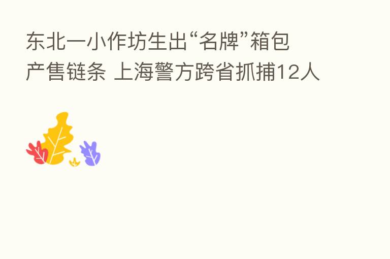 东北一小作坊生出“名牌”箱包产售链条 上海警方跨省抓捕12人