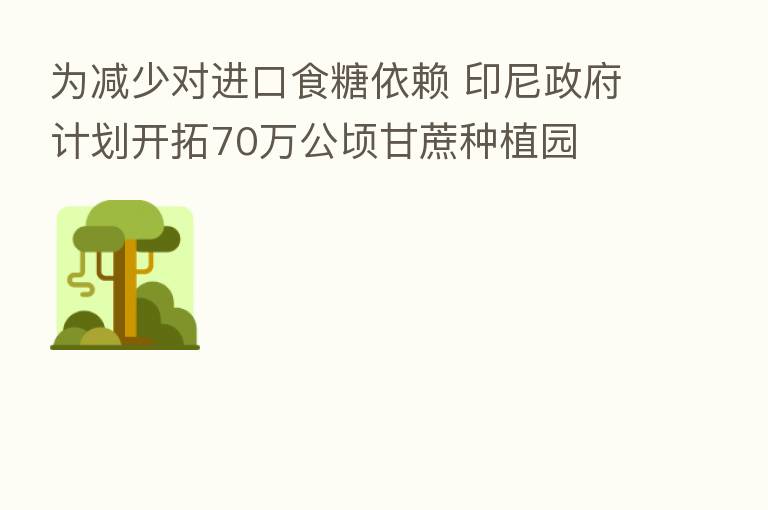 为减少对进口食糖依赖 印尼政府计划开拓70万公顷甘蔗种植园