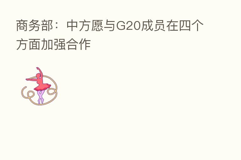 商务部：中方愿与G20成员在四个方面加强合作