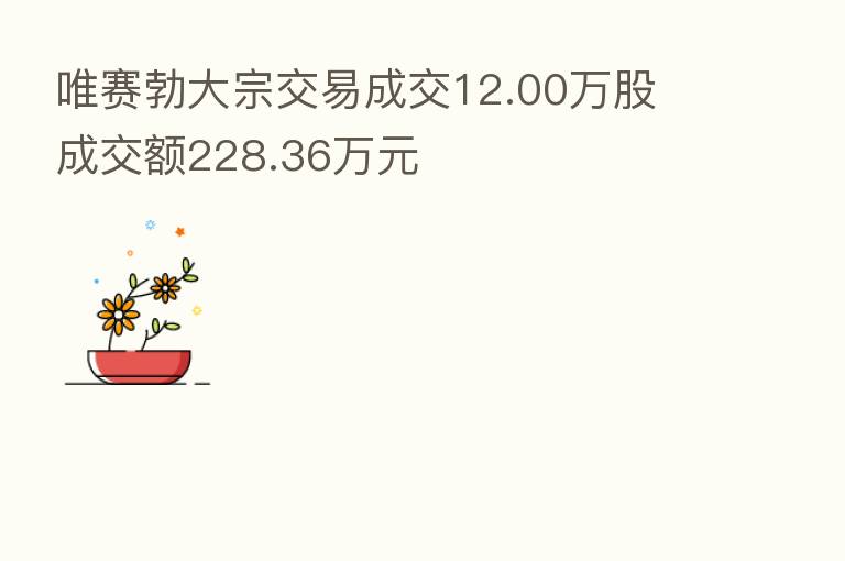 唯赛勃大宗交易成交12.00万股 成交额228.36万元