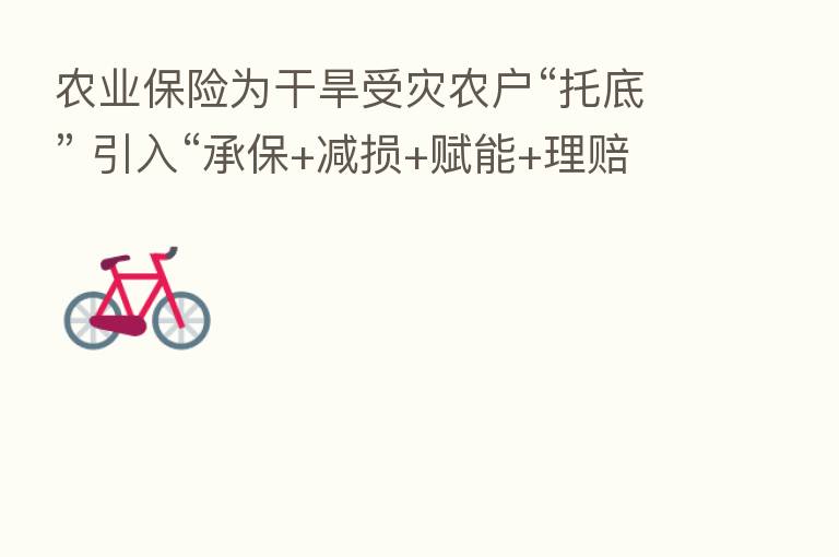 农业 为干旱受灾农户“托底” 引入“承保+减损+赋能+理赔” 新逻辑