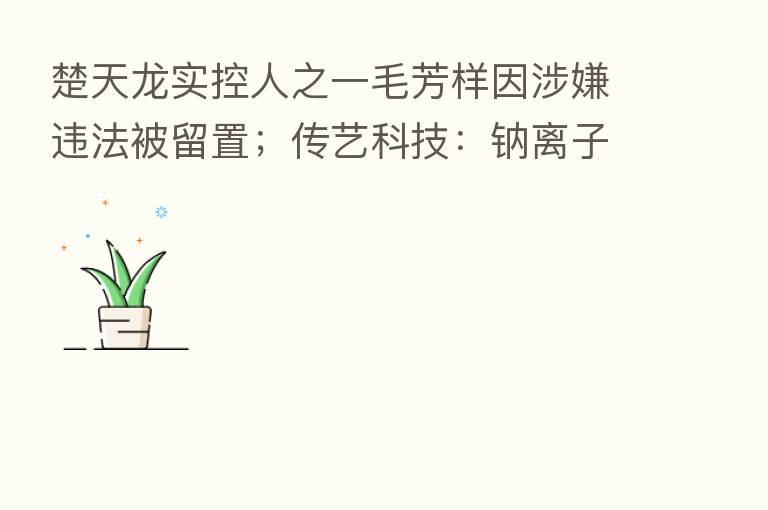楚天龙实控人之一毛芳样因涉嫌违法被留置;传艺科技:钠离子电池处于产能建设阶段 短期内尚未盈利