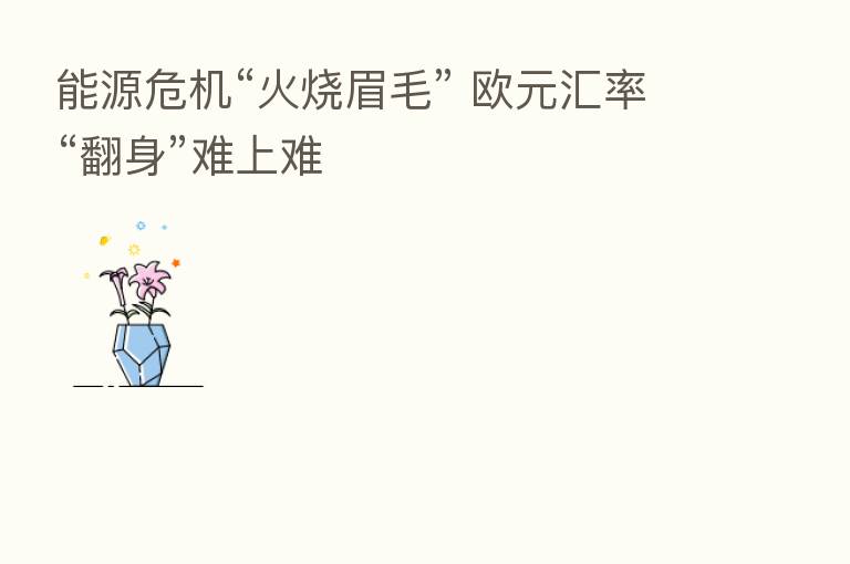 能源危机“火烧眉毛” 欧元汇率“翻身”难上难