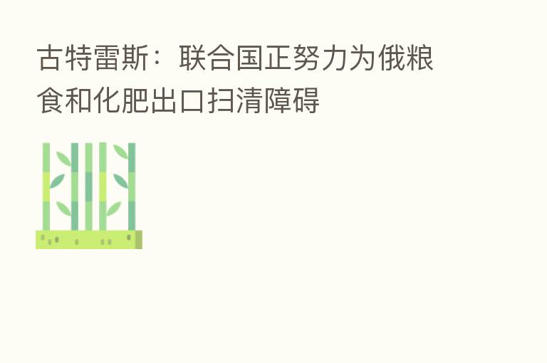 古特雷斯:联合国正努力为俄粮食和化肥出口扫清障碍