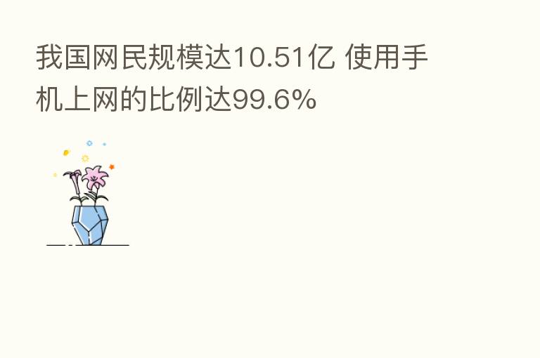 我国网民规模达10.51亿 使用手机上网的比例达99.6%