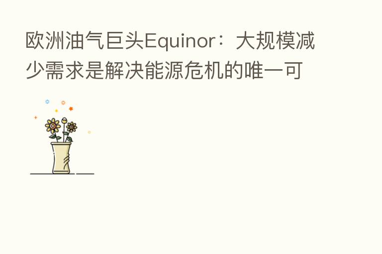 欧洲油气巨头Equinor:大规模减少需求是解决能源危机的唯一可行办法