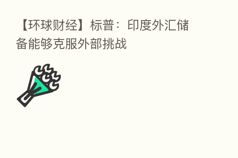 【环球财经】标普:印度外汇储备能够克服外部挑战