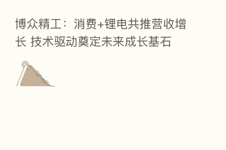 博众精工:消费+锂电共推营收增长 技术驱动奠定未来成长基石