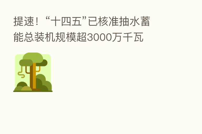 提速!“十四五”已核准抽水蓄能总装机规模超3000万千瓦