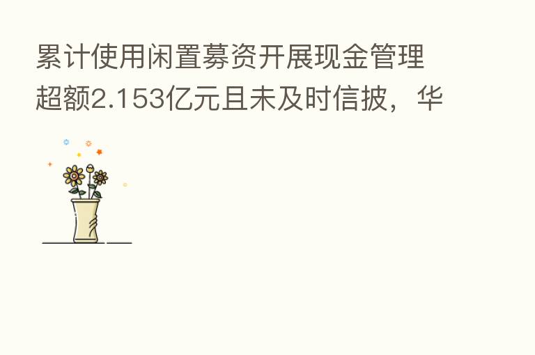 累计使用闲置募资开展现金管理超额2.153亿元且未及时信披,华兴源创被江苏省证监局出具警示函