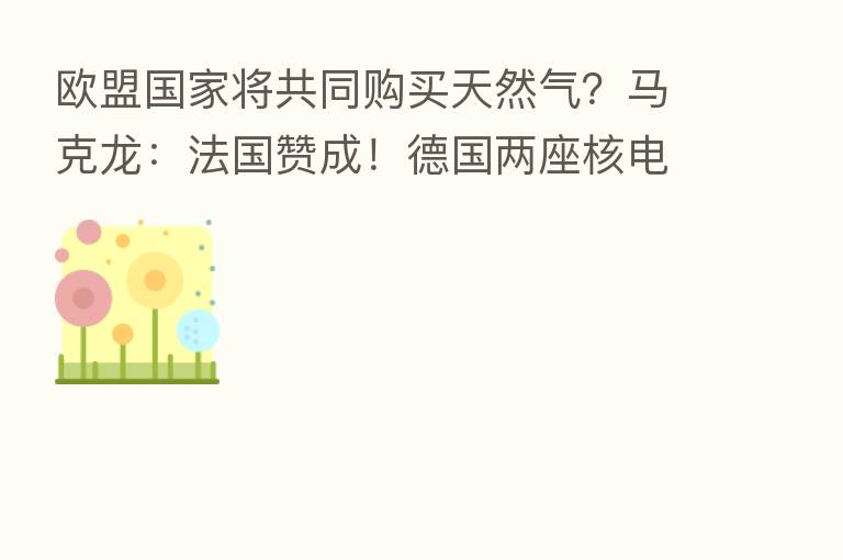 欧盟国家将共同购买天然气？马克龙：法国赞成！德国两座核电站延迟退役