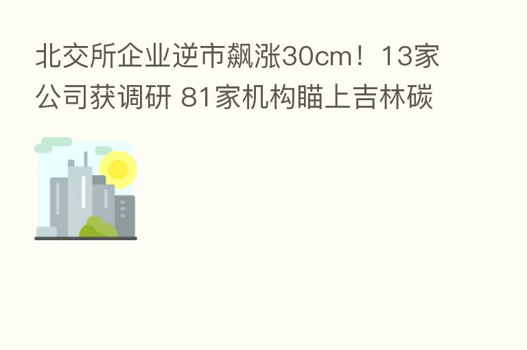 北交所企业逆市飙涨30cm！13家公司获调研 81家机构瞄上吉林碳谷
