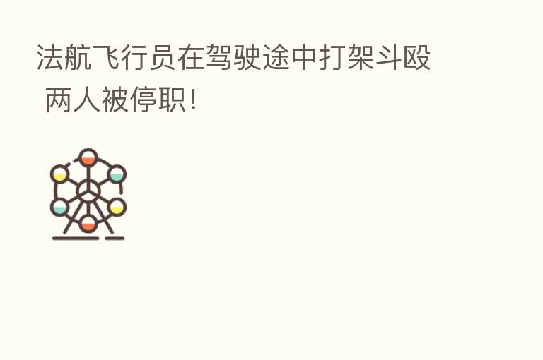 法航飞行员在驾驶途中打架斗殴 两人被停职!