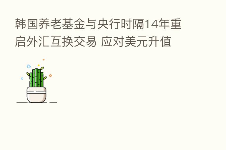 韩国养老基金与央行时隔14年重启外汇互换交易 应对美元升值