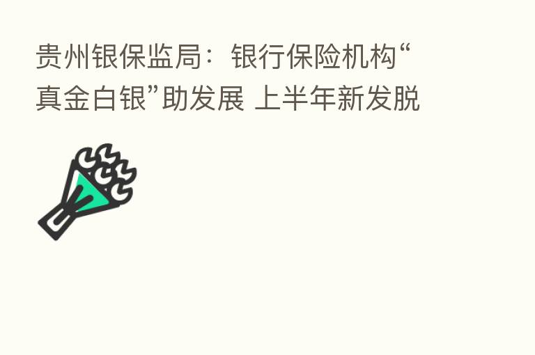 贵州银保监局：银行      机构“真金白银”助发展 上半年新发脱贫人口小额信贷居全国   三