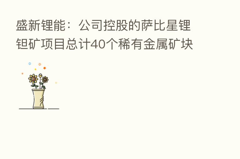 盛新锂能:公司控股的萨比星锂钽矿项目总计40个稀有金属矿块的采矿权证 针对其中5个矿权项目正在建设中