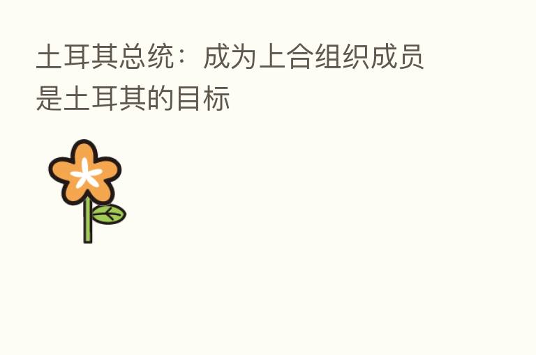 土耳其总统:成为上合组织成员是土耳其的目标