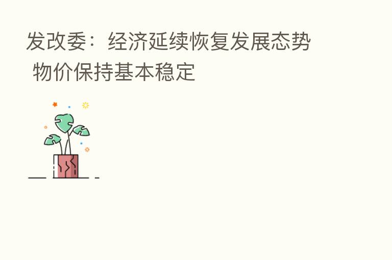 发改委:经济延续恢复发展态势 物价保持基本稳定