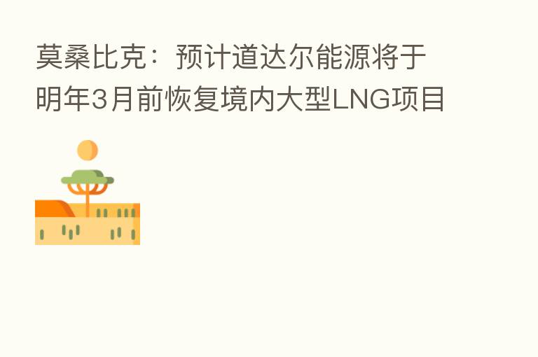莫桑比克:预计道达尔能源将于明年3月前恢复境内大型LNG项目