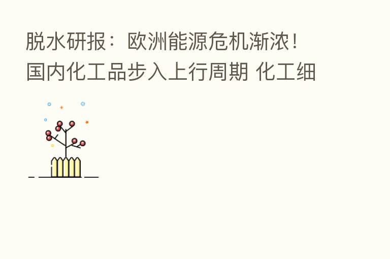 脱水研报:欧洲能源危机渐浓!国内化工品步入上行周期 化工细分龙头有望借机抢占市场份额