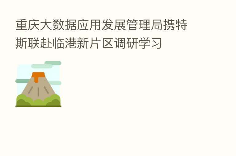 重庆大数据应用发展管理局携特斯联赴临港新片区调研学习