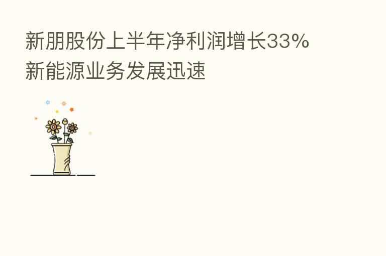 新朋股份上半年净利润增长33% 新能源业务发展迅速