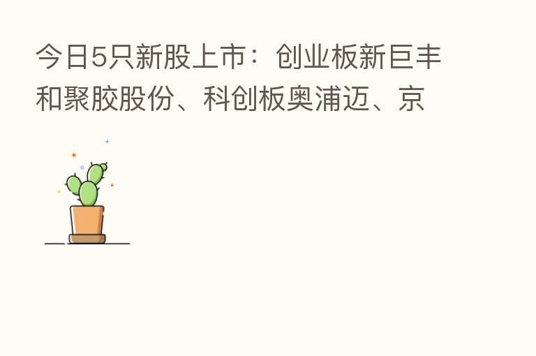 今日5只新股上市:创业板新巨丰和聚胶股份、科创板奥浦迈、京市主板联迪信息和天铭科技
