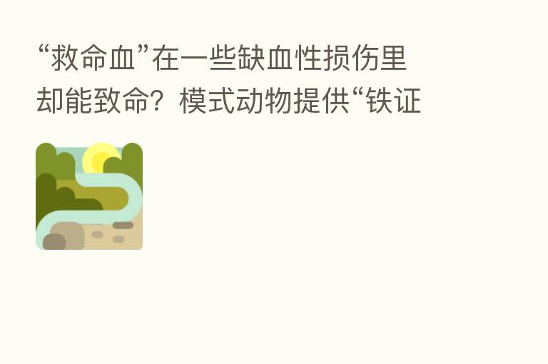 “救命血”在一些缺血性损伤里却能致命?模式动物提供“铁证”