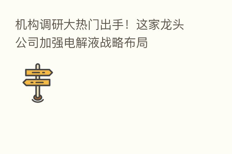 机构调研大热门出手!这家龙头公司加强电解液战略布局