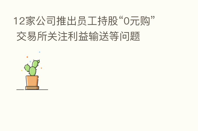 12家公司推出员工持股“0元购” 交易所关注利益输送等问题