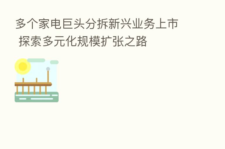 多个家电巨头分拆新兴业务上市 探索多元化规模扩张之路