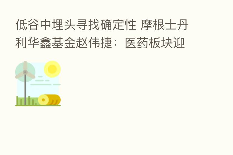 低谷中埋头寻找确定性 摩根士丹利华鑫基金赵伟捷:医药板块迎来底部布局时机 CXO正蓄力