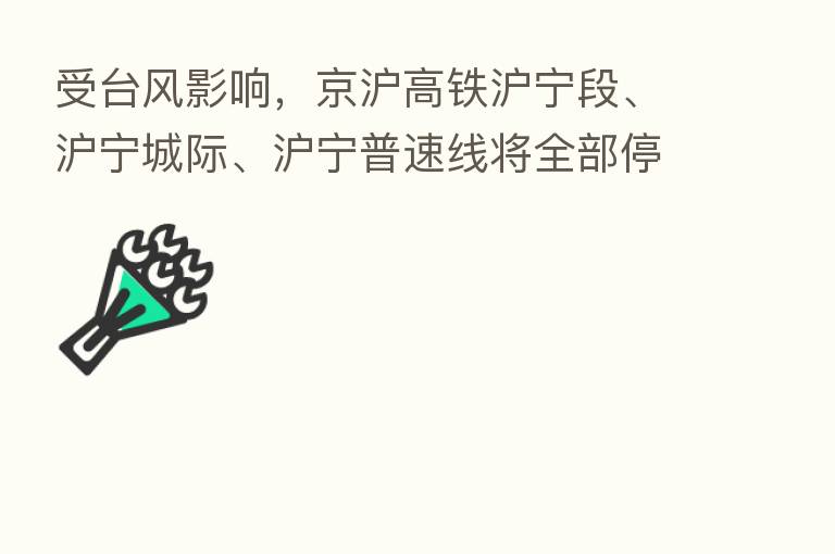 受台风影响,京沪高铁沪宁段、沪宁城际、沪宁普速线将全部停运