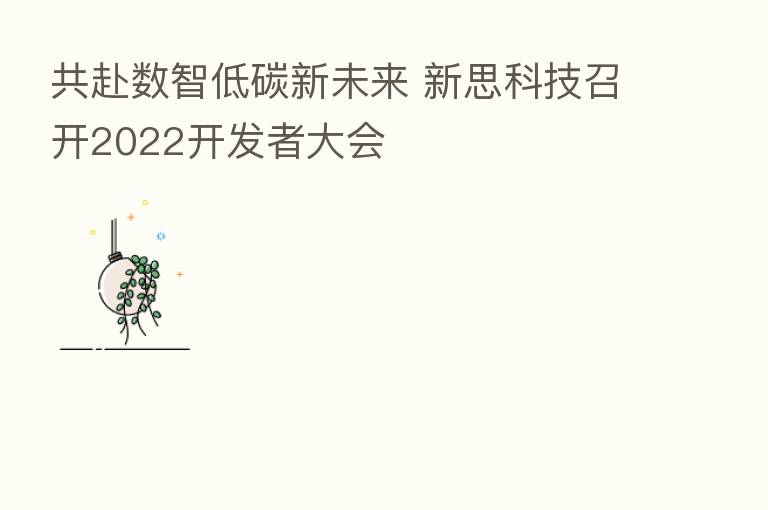 共赴数智低碳新未来 新思科技召开2022开发者大会