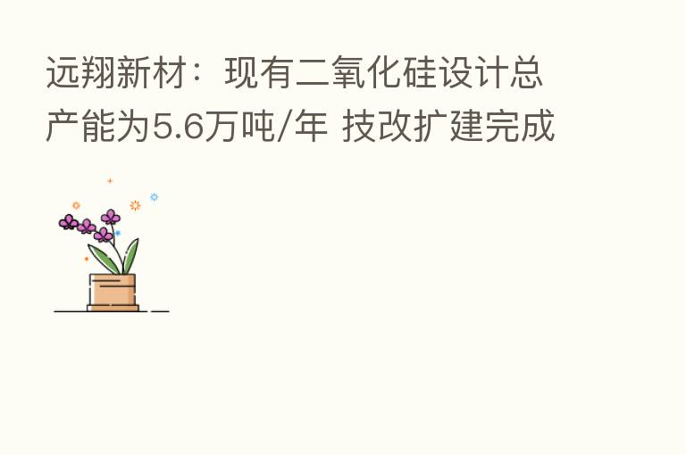 远翔新材:现有二氧化硅设计总产能为5.6万吨/年 技改扩建完成后 预计明年初产能将达到10万吨/年