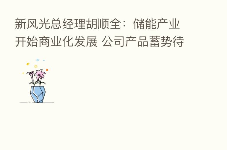 新风光总经理胡顺全:储能产业开始商业化发展 公司产品蓄势待发
