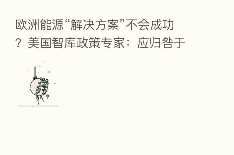 欧洲能源“解决方案”不会成功?美国智库政策专家:应归咎于自身