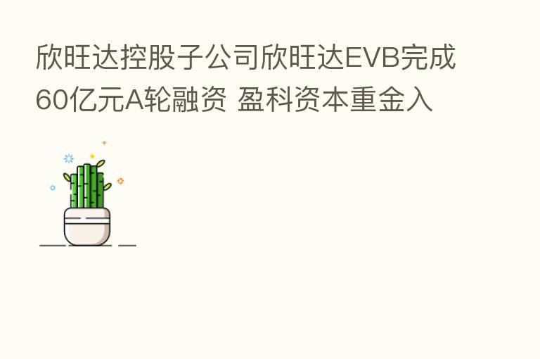 欣旺达控股子公司欣旺达EVB完成60亿元A轮融资 盈科资本重金入局