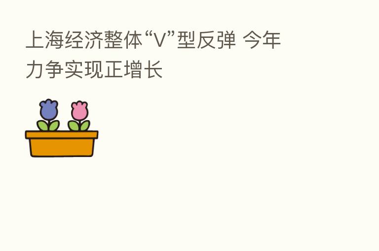 上海经济整体“V”型反弹 今年力争实现正增长